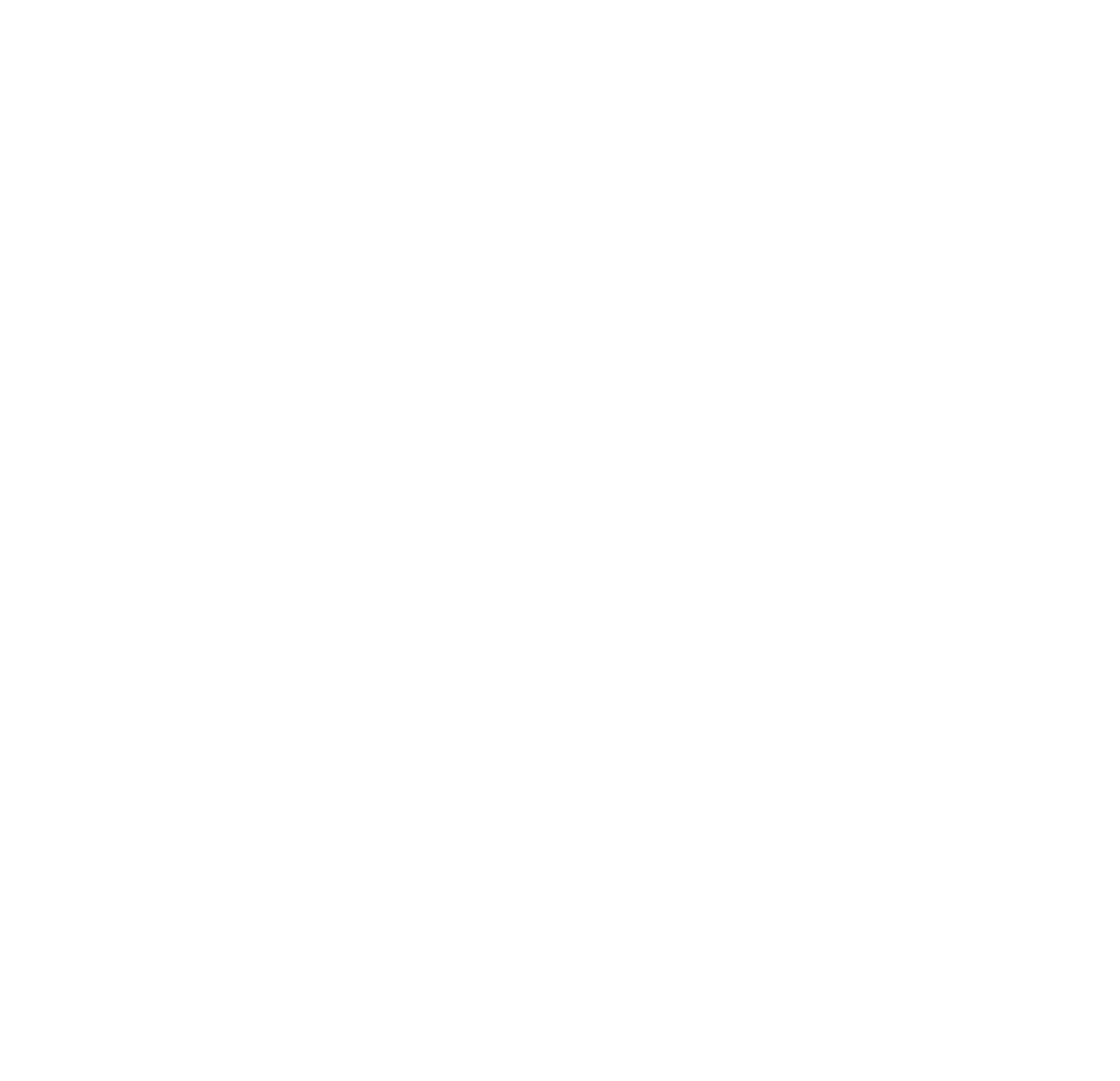 Logo-weiß